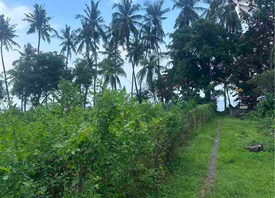 place photo 19