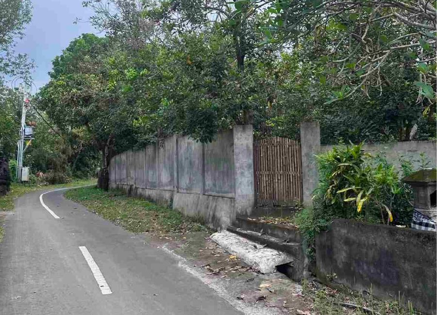 place photo 20