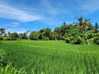 Tanah Kavling View Sawah, Lokasi Strategis, @Pering, Blahbatuh, Gianyar dekat Denpasar & Sanur