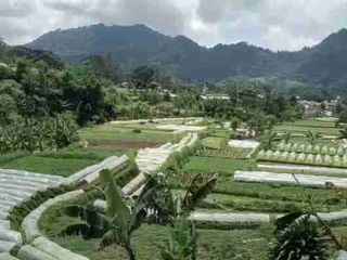 Dijual lahan  di Jl.Raya Puncak Cianjur