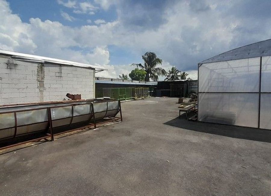 place photo 11