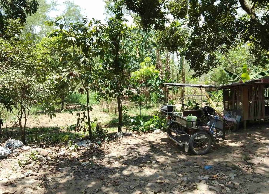 East Wind Homes, Balite, San Rafael, Montalban, Rizal image 2