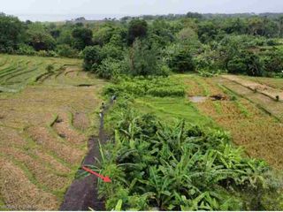 Tanah strategis itr pariwisata Umalalang cemagi Bali