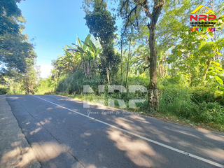 Dijual Tanah Kebun di Jln Raya Ijen - Paspan, Banyuwangi