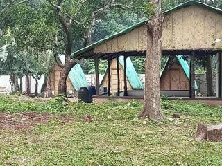 4547sqm For sale farm land or lease with 3 bedroom at Pililia Rizal Clean Title