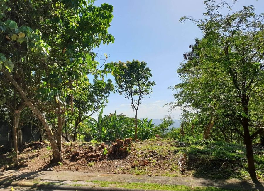 Spine Road, Ayala Greenfield Estates, Maunong, Calamba, Laguna