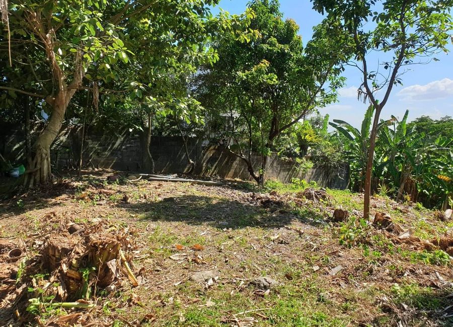 Spine Road, Ayala Greenfield Estates, Maunong, Calamba, Laguna image 3
