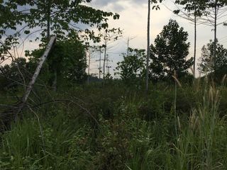 Dijual Tanah Dijalan Pramuka Pekanbaru Riau