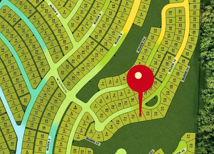 Spine Road, Ayala Greenfield Estates, Maunong, Calamba, Laguna
