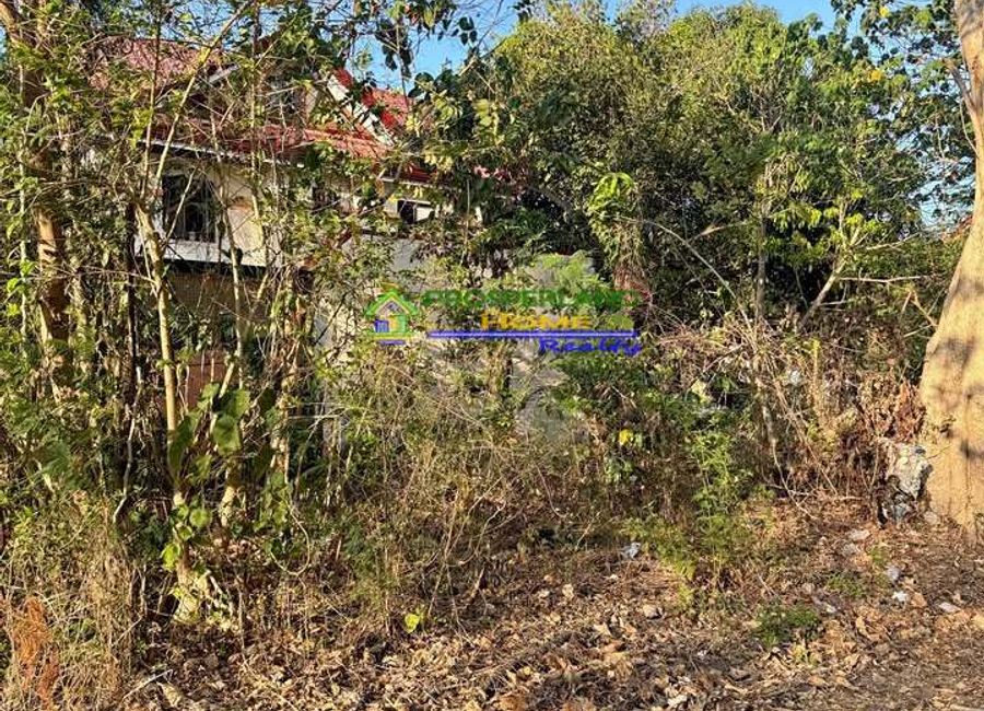 Binangonan Diversion Road, Calumpang, Calumpang, Darangan, Binangonan, Rizal