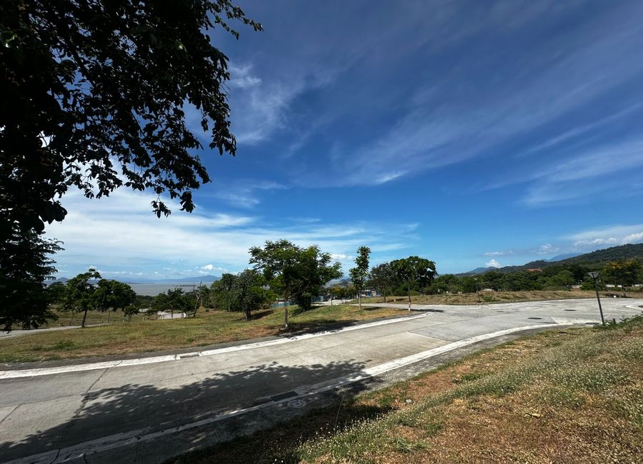 Spine Road, Ayala Greenfield Estates, Maunong, Calamba, Laguna image 2