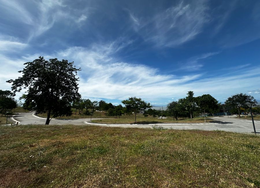 Spine Road, Ayala Greenfield Estates, Maunong, Calamba, Laguna image 3