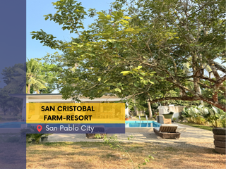 Agricultural Farm-Resort For Sale at San Cristobal San Pablo Laguna