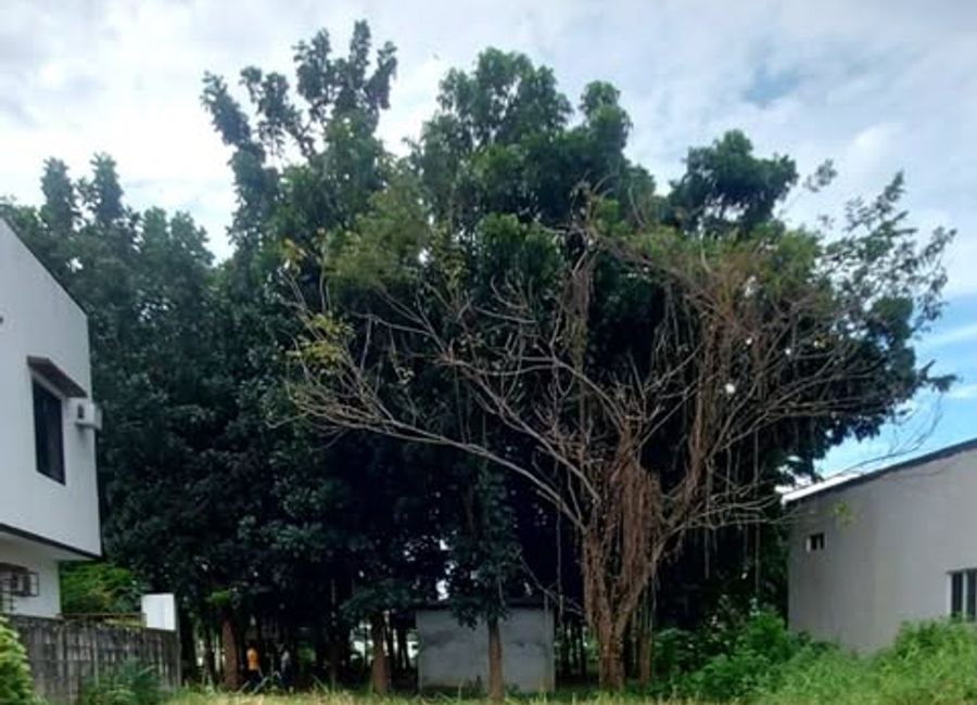 Durian Bend, Cainta Greenland 8, Santa Ana, Taytay, Rizal
