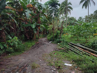 8,582 sqm Lot For Sale in Lipa Batangas