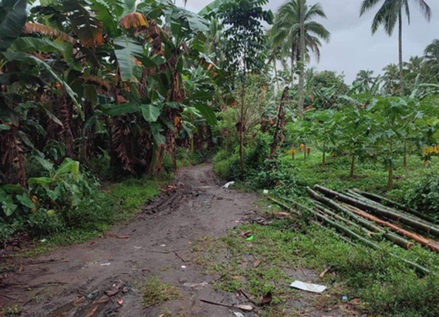 P. Torres Street, 6, Poblacion, Lipa, Batangas