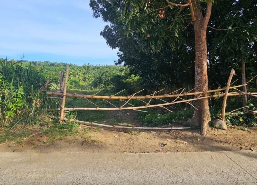 Mabini Avenue, Barangay 5, Tanauan, Batangas image 2