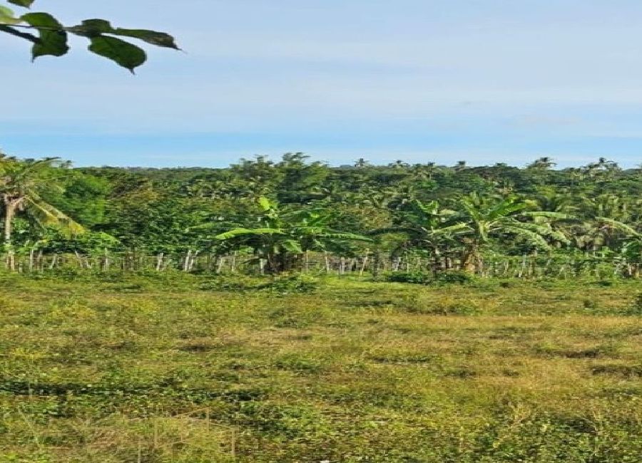 Mabini Avenue, Barangay 5, Tanauan, Batangas