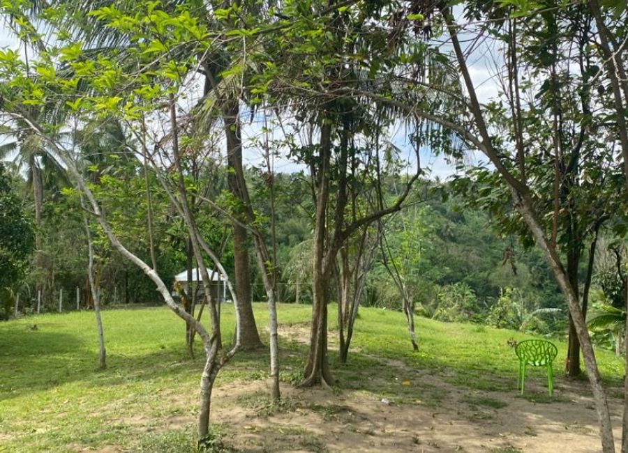 Mabini Avenue, Barangay 5, Tanauan, Batangas