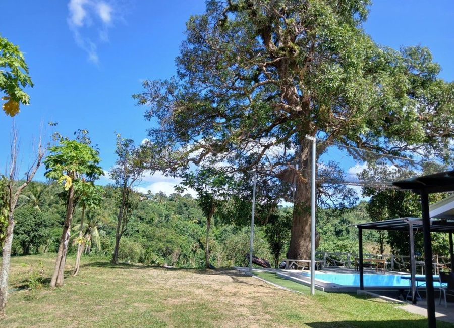 Mabini Avenue, Barangay 5, Tanauan, Batangas image 3