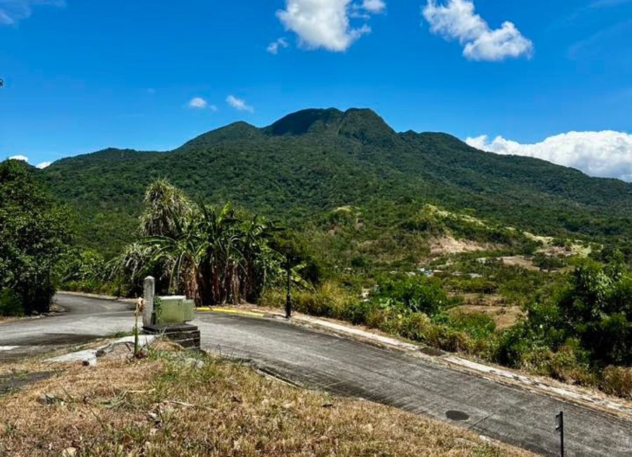 Spine Road, Ayala Greenfield Estates, Maunong, Calamba, Laguna image 2