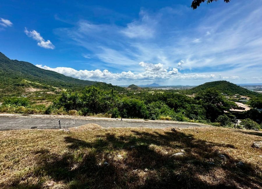 Spine Road, Ayala Greenfield Estates, Maunong, Calamba, Laguna image 3