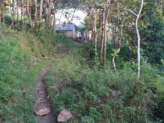 Dijual Cepat Murah Tanah Di Nusa Penida - Bali