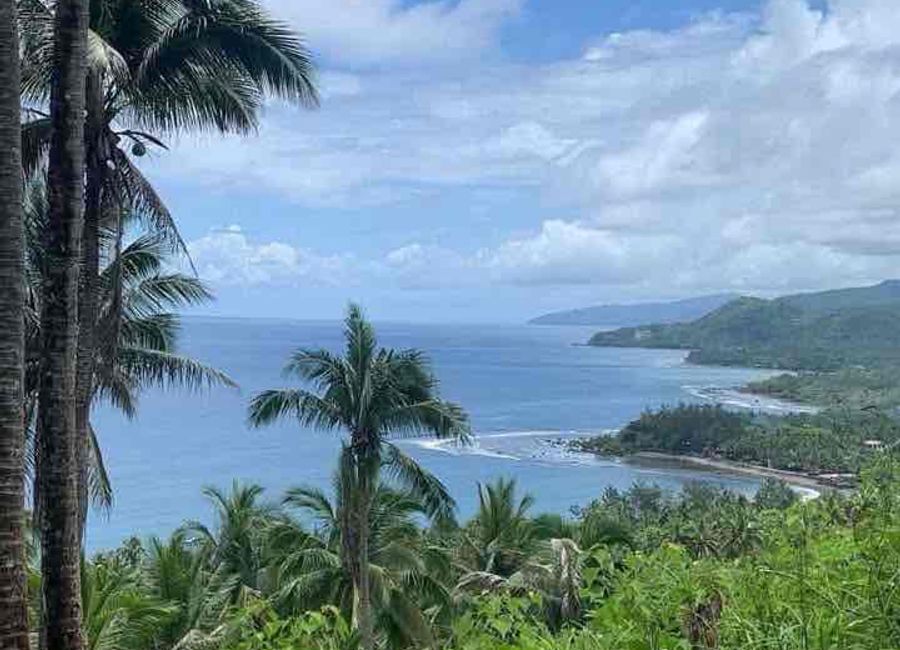 Famy - Real Road, Gumamela, Poblacion, Real, Quezon