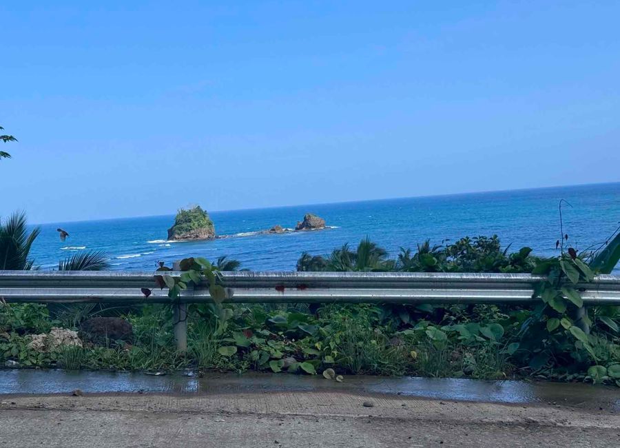 Famy - Real Road, Gumamela, Poblacion, Real, Quezon image 3