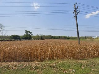 Lahan cocok untuk Pabrik  nol Jalan Provinsi zona Industri Pemalang