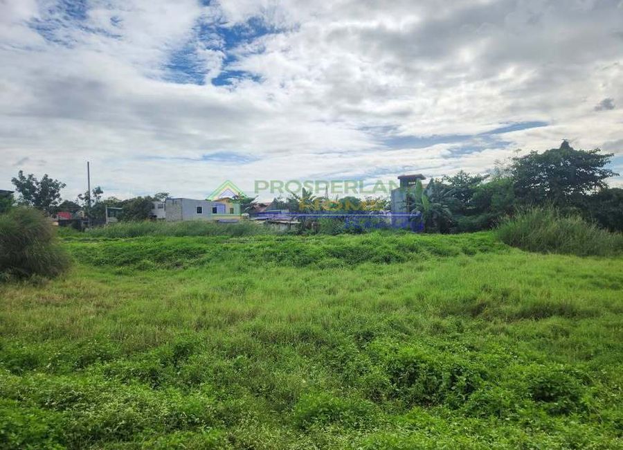 Metropolis Avenue, Metropolis East, Pag-asa, Tayuman, Binangonan, Rizal image 3