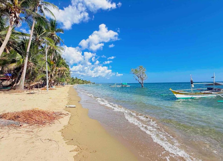 Puting Bato, Ilayang Yuni, Quezon image 2