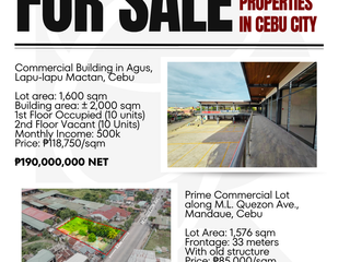 FOR SALE Commercial Properties in Cebu City