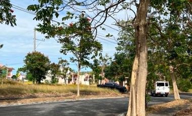 Residential Lot For Sale, Single Detached, Resale Lots Below Market Value in San Pedro Laguna near Alabang and Daang Hari, Highend and Affordable Lots