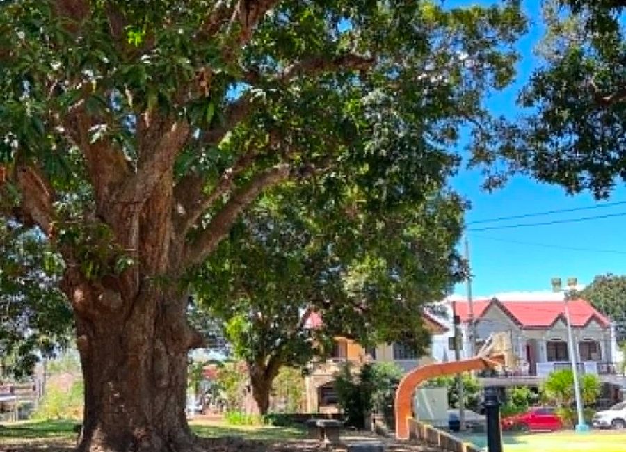 place photo 16