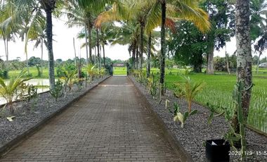 🌿 Tanah Kavling Luas Siap Bangun di Lokasi Strategis 🌿