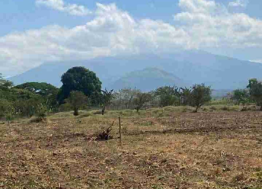 Cabatang, Tiaong, 2nd District, Quezon image 3