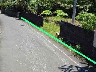 Dijual Tanah Pekarangan di Turi Tempel