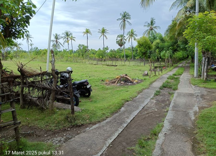 place photo 7