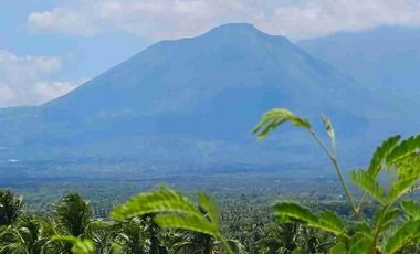 Farm Lot Installment San Pablo Laguna