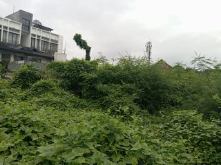 Disewakan Tanah Luas di Jalan Besar Bendungan Hilir Jakarta Pusat