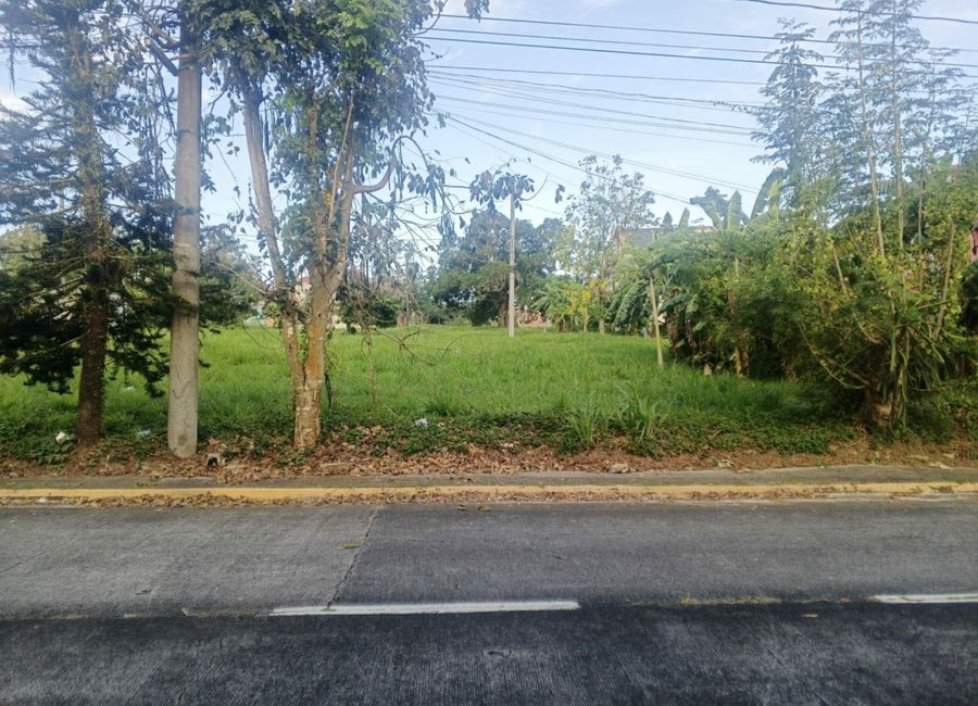 Biluso, Silang, Cavite image 2