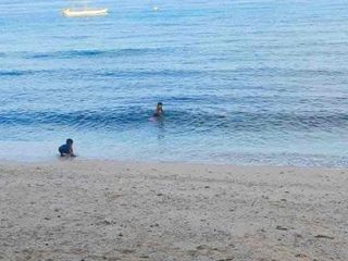 Oslob Cebu  beach Lot for Sale