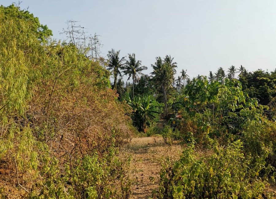 place photo 4