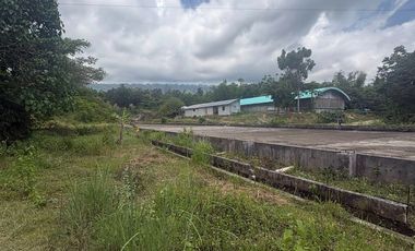Large-Scale Development Property in Fast-Growing Cebu Area