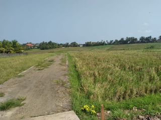 DIJUAL TANAH VIEW SAWAH DEKAT PANTAI KLECUNG – TABANAN (LINGKUNGAN VILLA)