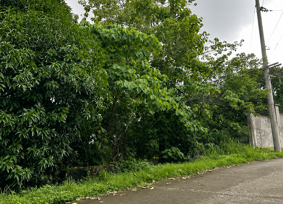 Timberland Avenue, Timberland Heights, San Mateo, Rizal