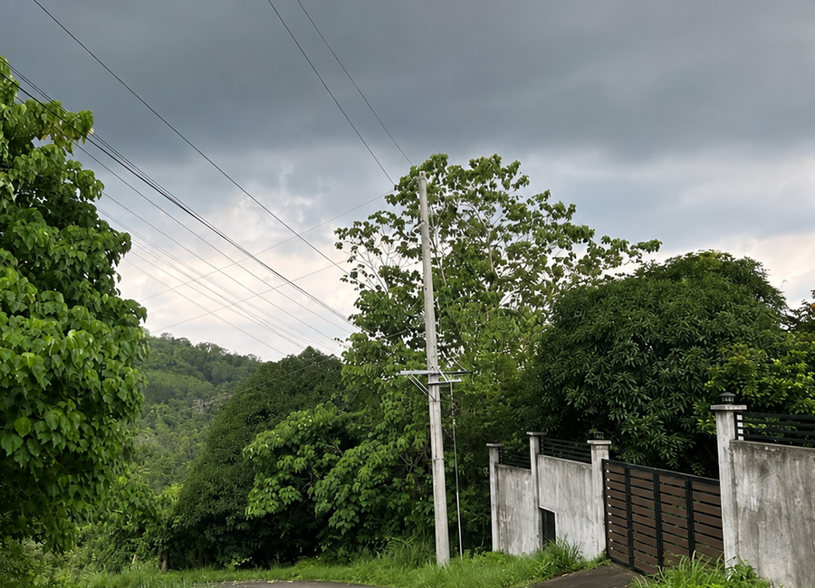 Timberland Avenue, Timberland Heights, San Mateo, Rizal image 2