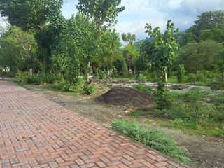 🔥 DIJUAL TANAH STRATEGIS TEPI JALAN PROVINSI – BULELENG, BALI 🔥