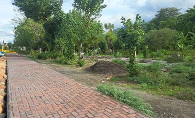 🔥 DIJUAL TANAH STRATEGIS TEPI JALAN PROVINSI – BULELENG, BALI 🔥